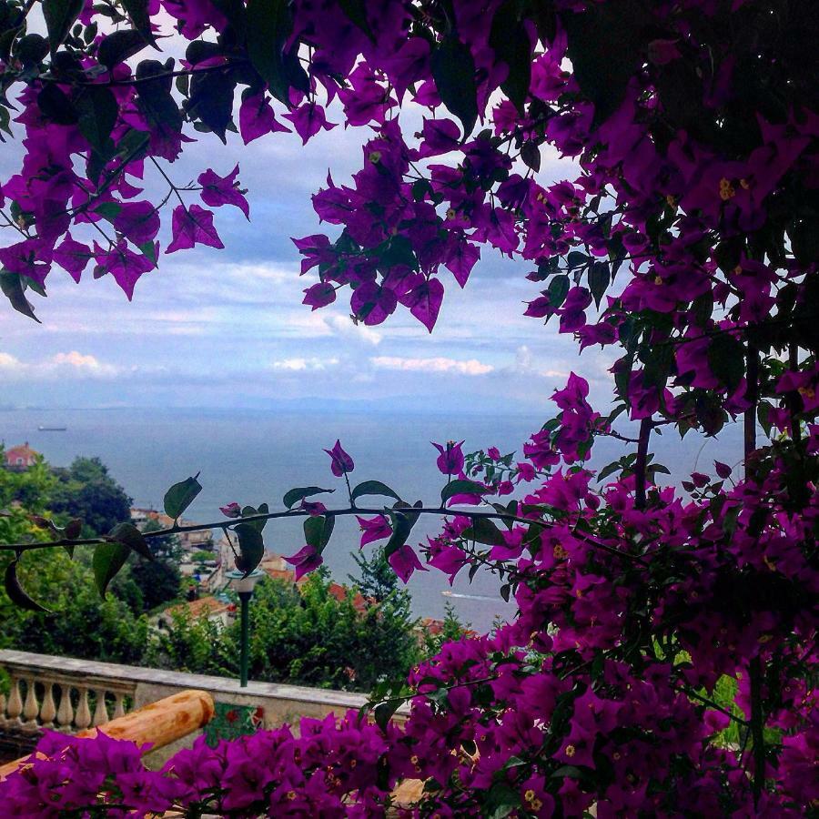 Bed and Breakfast Casa Flora Vietri Exterior foto