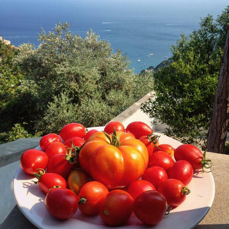 Bed and Breakfast Casa Flora Vietri Exterior foto