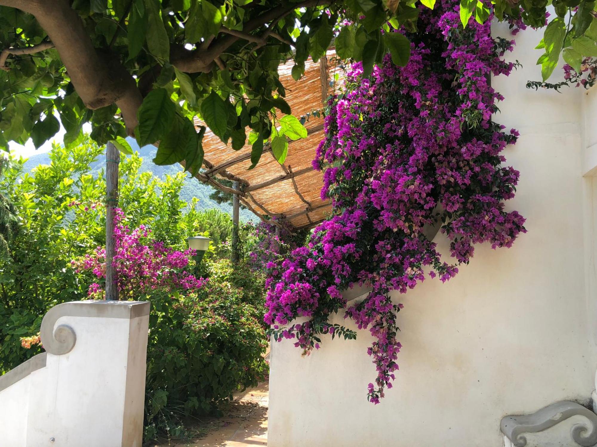 Bed and Breakfast Casa Flora Vietri Exterior foto